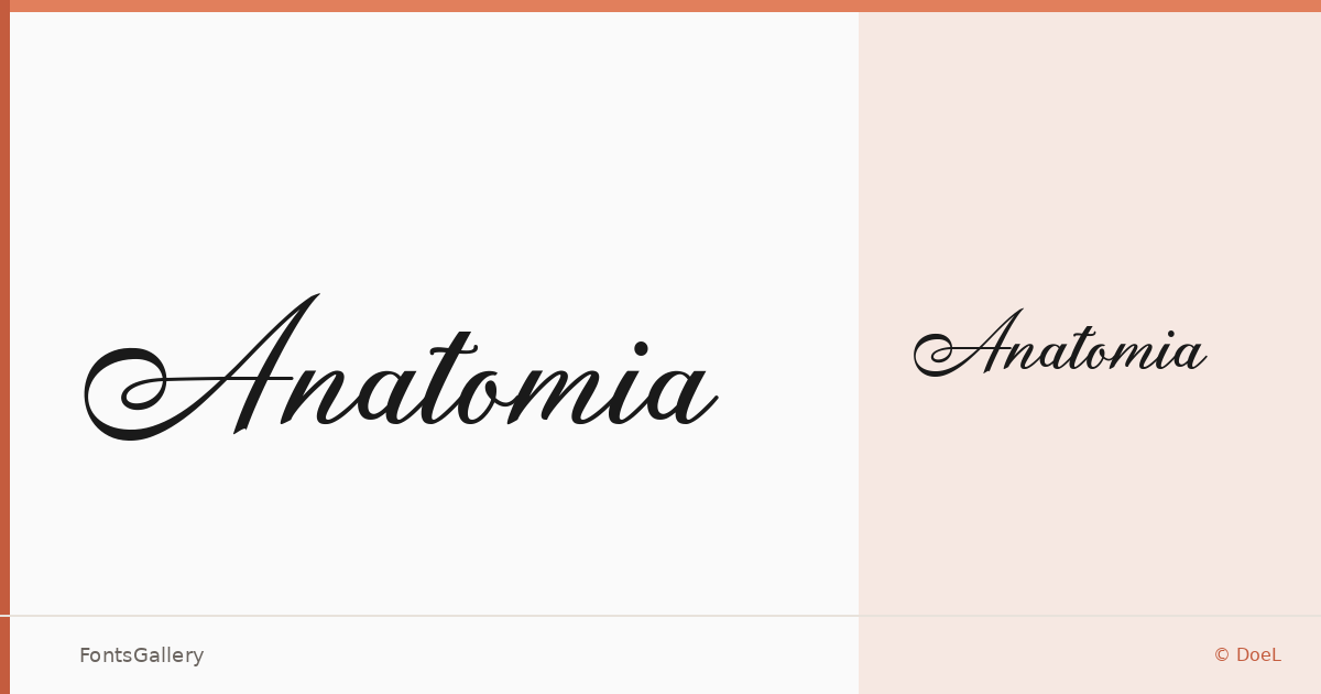 Anatomia font family banner