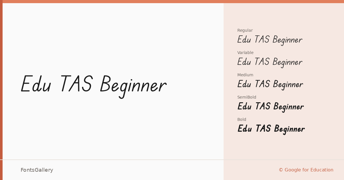 Edu TAS Beginner font family banner