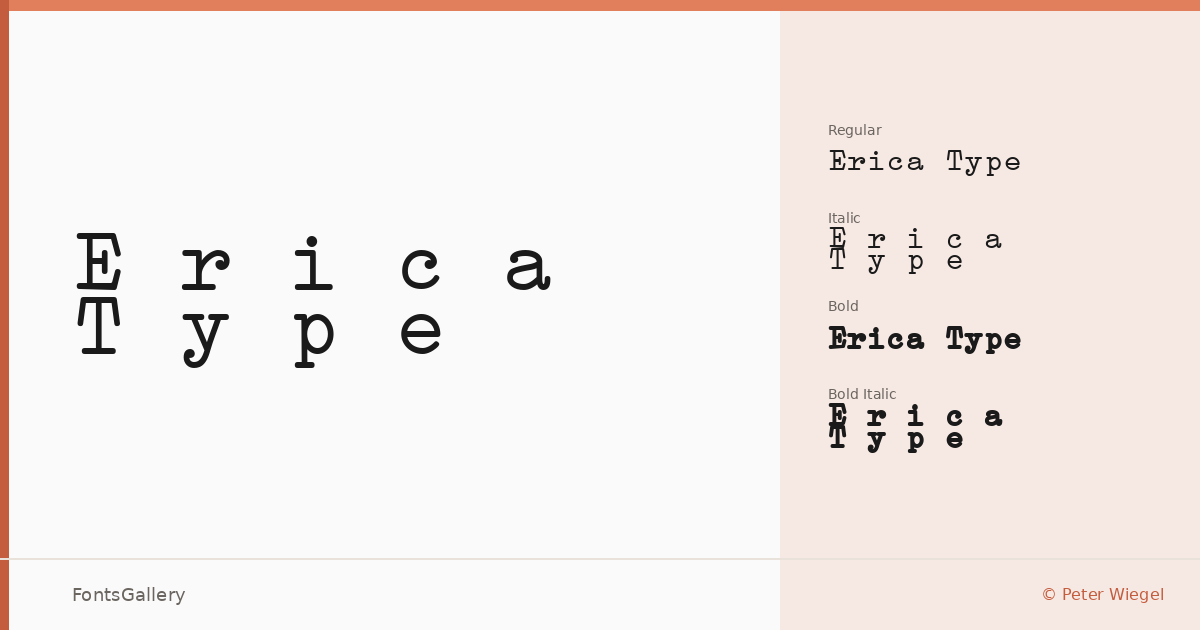 Erica Type font family banner