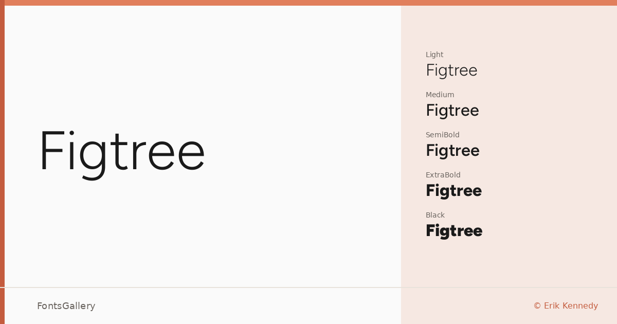 Figtree font family banner