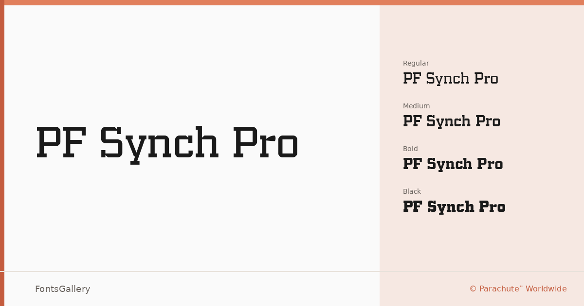 PF Synch Pro font family banner