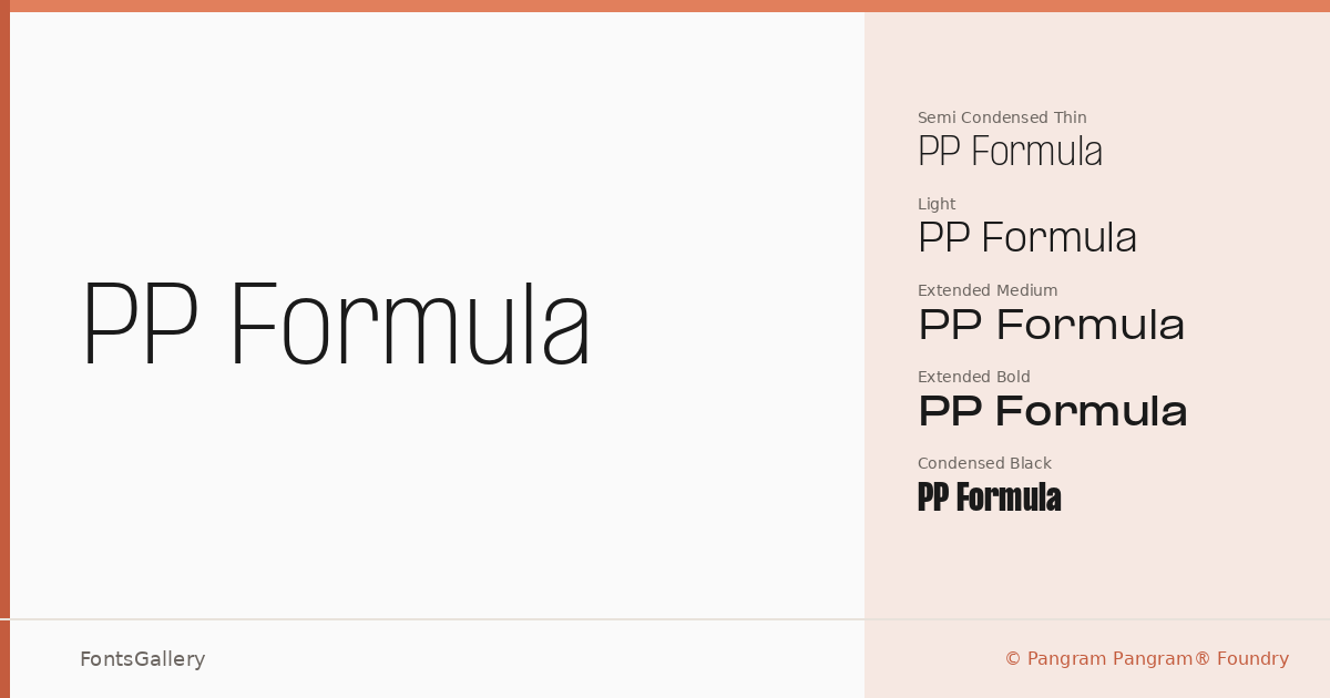 PP Formula font family banner