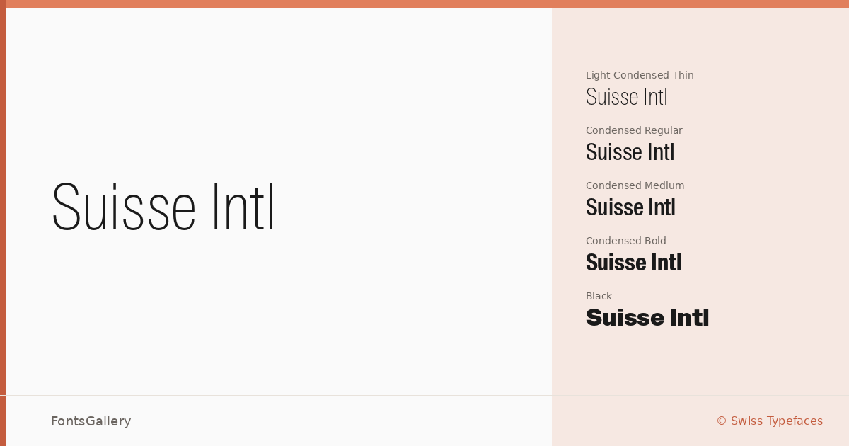 Suisse Intl font family banner